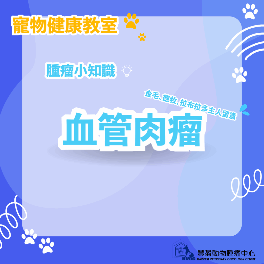 血管肉瘤