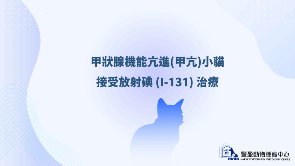 放射碘 (I-131) 治療