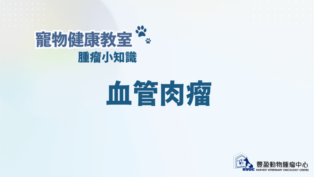血管肉瘤