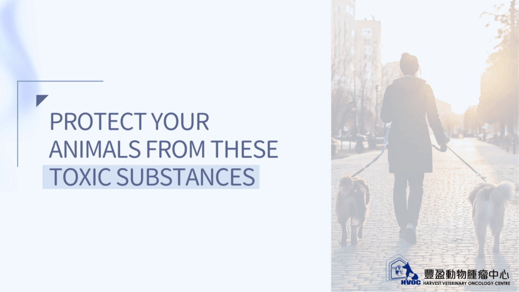 Is your pet safe?