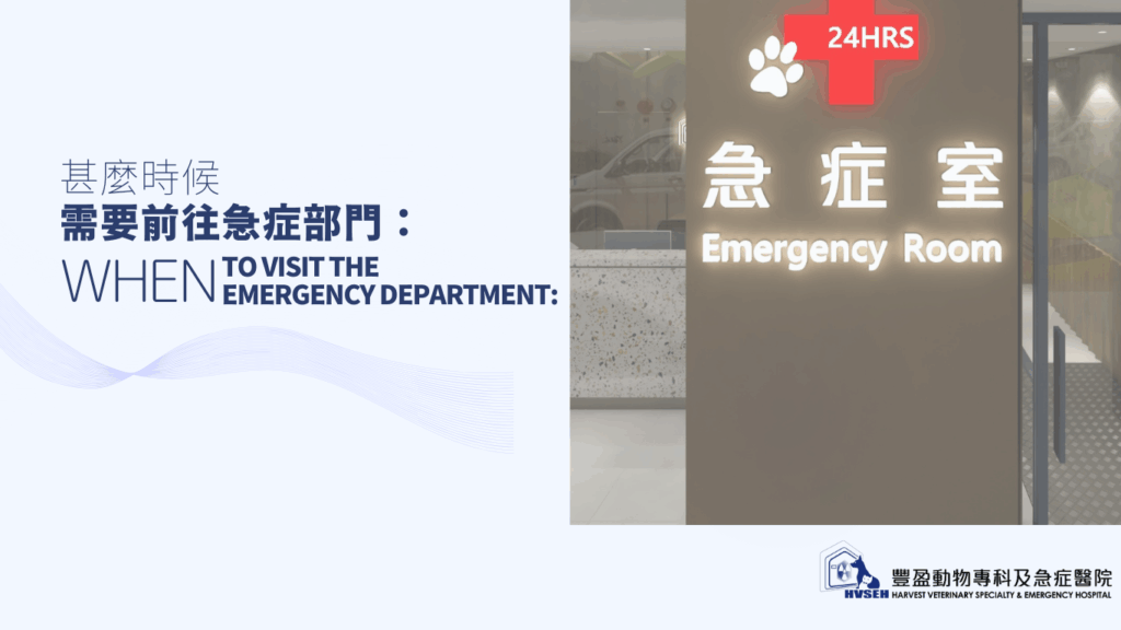When to visit the Emergency Department